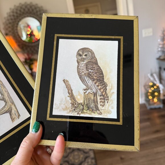 1971 Reverse paint Owl pictures - Picture 10 of 14